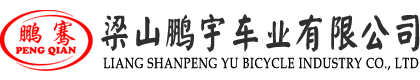 梁山鹏宇车业有限公司